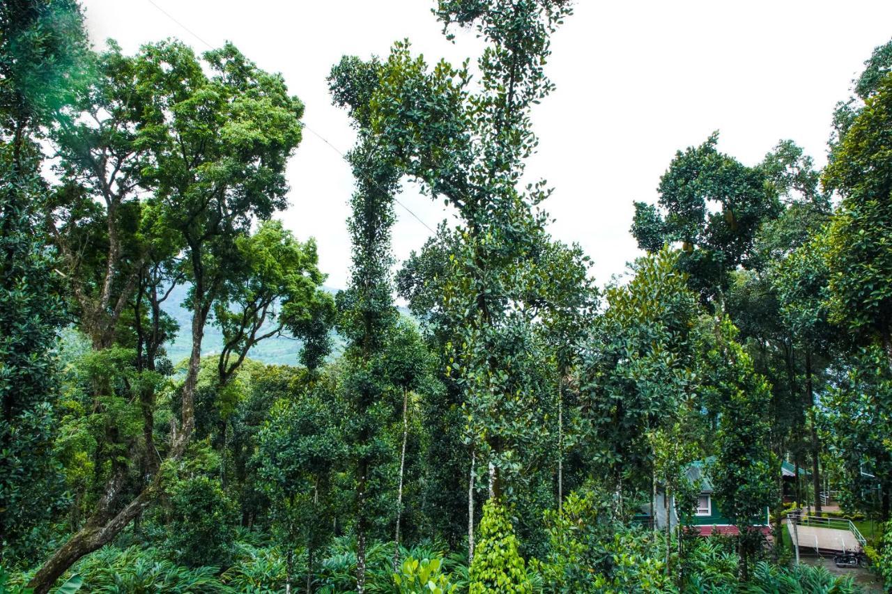 Tree Blanche Hotel Munnar Exterior foto