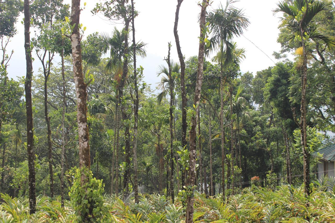 Tree Blanche Hotel Munnar Exterior foto