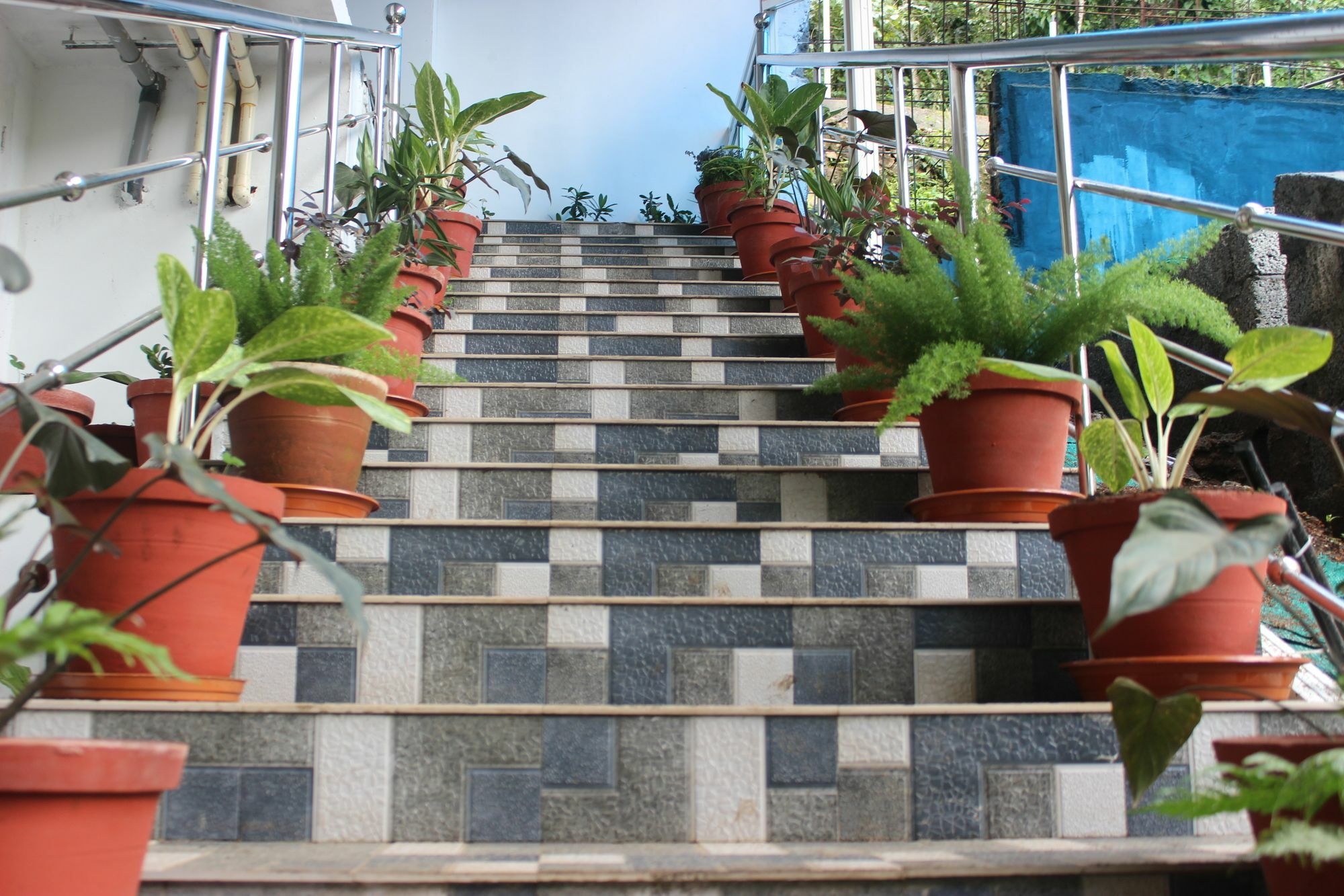 Tree Blanche Hotel Munnar Exterior foto